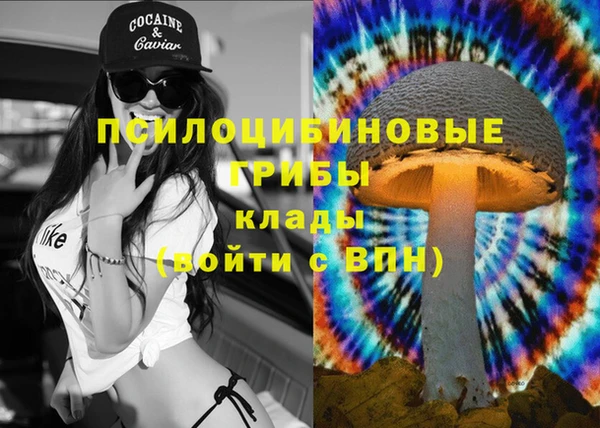 spice Дмитровск